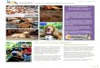 Issue 1 | Sep 2013 4PAWS Penang Animal Welfare Society...2012/10/04  · have retired comfortably in Malaysia after moving from Germany. But instead… ’ She has sacrificed so much