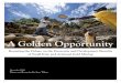 A Golden Opportunity · associated with digging wealth out of the ground, and also the potential of mining to contribute to growth ... A golden opportunity Gold (which is the focus