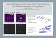 Optical Design and Image Post-Processing for the Direct ... · Tyler McCabe Mentors: Brian Hicks and Neil Zimmerman Hubble NICMOS Images Radial Shear Nulling Coronagraph (RSNC) Single-mode