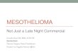New Mesotheliomacanpweb.org/canp/assets/File/2014 Conference... · 2016. 2. 29. · Mesothelioma • Tumor arising from the mesothelium • Pleural • Pericardium • Peritoneum