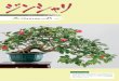 á à - bonsai-art-museum.jp · 国、世界を飛び回り盆栽普及に努めている。一般社団法人日本盆栽協会の理事長 も務め、2013年に旭日双光賞を授章。