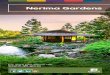 Nerima Gardens - City of Ipswich · Japanese gardens are designed to invite discovery. Transitions between garden rooms are managed with space and subtle screening. Unexpected vistas,