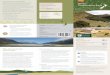 Hawea Conservation Park brochure€¦ · LAKE HĀWEA LAKE WANAKA ð!ð!6 ð!ð!6 Y O U N G R A N G E B E A L E Y R A N G E B A R R I E R R A N G E ð "ðD B i r c h w o o d R o a