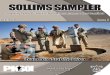 Targeting Peace & Stability Operations Lessons & Best ... · This lessons-learned compendium contains just a sample – thus the title of “sampler” – of the observations, insights,