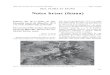 Butll. Inst. Cat. Hist. Nat., 75:153-158. 2007–2009 ISSN ... · GEA, FLORA ET FAUNA Notes breus (fauna) Primera cita de la llebre de mar Bursatella leachi (de Blainville, 1817)