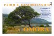 Appendix 2 - Ecology and Society · Appendix 2. Illustration of Omora’s Ten Criteria to achieve biocultural conservation and sustainability. (1) Inter-institutional cooperation