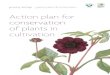 Action plan for conservation of plants in cultivation - RHS · and, indeed, the model has been adopted by other countries. The NCCPG and the RHS felt that it was an opportune moment