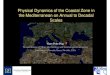 Physical Dynamics of the Coastal Zone in the Mediterranean ... June/pla… · Example Stromboli: Landslides on Sciara del Fuoco cause tsunamis Two landslides on December 30, 2008