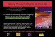 Heavy Flavour Physics at HL-LHC · Bostjan Golob, Martijn Mulder, Sandro Palestini , Pavel Reznicek , Flera Rizatdinova, Maria Smizanska, Roberto Tenchini , Karim Trabelsi and Guy