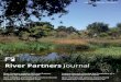 River Partners Journal€¦ · 6 Update: Willow Bend Preserve Receives Funding From NOAA Fisheries’ Community-based Restoration Program 8 Lessons from Fresno: Bringing Back the