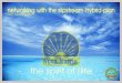 the spirit of life w n ne - mlm-infos.com · networking with the slipstream-hybrid-plan Your success guide ... the spirit of life ne w n