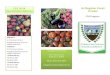 CSA Program - storage.googleapis.com€¦ · seasonal fruits, vegetables, and herbs. They also will receive e-newsletters that include farm updates, corresponding recipe ideas, and