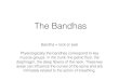The Bandhas - London Yoga Teacher Training Group€¦ · The Bandhas Bandha = lock or seal Physiologically the bandhas correspond to key muscle groups in the trunk: the pelvic ﬂoor,