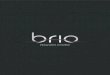 Brio 2016 Manual Final Approved Version · Introduction Thank you for purchasing the new Brio amplifier, the 6th generation of Rega’s best-selling amplifier. The Brio has a completely