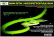 WARTA HERPETOFAUNA/VOLUME V, NO.1 November 2011perhimpunanherpetologi.com/.../02/2011-November-Warta-Herpetofa… · 2 WARTA HERPETOFAUNA/VOLUME V, NO.1 November 2011 Warta Herpetofauna