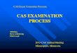 CAS EXAMINATION PROCESS€¦ · 7 Committee Structure – Roles (rather abbreviated) ... CAS Exam ST and LC are new next year and independent of SOA. Looking for combining ST, LC,