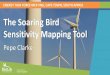 The Soaring Bird Sensitivity Mapping Tool · Sensitivity Mapping Tool Pepe Clarke ENERGY TASK FORCE MEETING, CAPE TOWN, SOUTH AFRICA. FORWARD PLANNING Location scoping Site evaluation