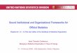 UNITED NATIONS STATISTICS DIVISION Sound Institutional and ...€¦ · Sound Institutional and Organizational Frameworks for Official Statistics Chapters III – IV – V of the next