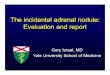 The incidental adrenal nodule: Evaluation and report€¦ · Adrenal Incidentaloma • Biochemical evaluation of every adrenal incidentaloma • If original work-up negative, repeat