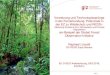 Vernetzung und Technologiesprünge in der Fernerkundung ... · Seite 2 Inhalt • Überblick Aktivitäten BMZ/GIZ im Waldbereich • Monitoring in REDD+: Stand und Herausforderung