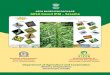AESA BASED IPM PACKAGE AESA based IPM – Sesamefarmer.gov.in/imagedefault/ipm/Sesame.pdf · IPM as a holistic approach of crop protection based on the integration of multiple strategies