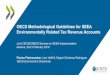 OECD Methodological Guidelines for SEEA Environmentally ...€¦ · Comments from the London Group on Environmental Accounting [ Q1/Q2 2019] ... The OECD started this inventory in