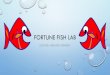 Fortune Fish Lab - The Science Queen€¦ · fortune fish lab luck be a red fish tonight. w in k. initial observations 1. remove the red cellophane “fortune telling” fish from