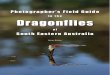 to the Dragonflies - photos.rnr.id.auphotos.rnr.id.au/dragonflies/Dragonfly Guide 2018.pdf · emergent rocks, logs or vegetation near breeding sites. Females deposit into decaying