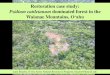 Restoration case study: Psidium cattleianum dominated ...manoa.hawaii.edu/hpicesu/DPW/2016_weed/beachy_OANRP.pdf · Bidens torta 0 to 60% < 0.001 Cocculus orbiculatus 0 to 30% 0.009