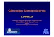 Génomique Microsporidienne - GPLFgplf.assoc.univ-bpclermont.fr/GPLF23-02-05/PDF dourdan/GPLF 2005... · Glycerol- 3-phosphate shuttle (mitochondrial re-oxidation of cytosolic NADH)