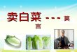 SPM 中国文学 卖白菜 幻灯片