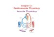 Chapter 12: Cardiovascular Physiology Vascular Cardiovascular Physiology Vascular Physiology. Lecture