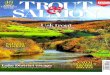 48 PAGE TROUT FISHERIES GUIDE u ance from oneSo ... Talk Autumn 2020.pdf · TROUT FISHERIES GUIDE u ance from oneSo INCORPORATING trout FISHERMAN Usktrout Prized autumn sport in Wales