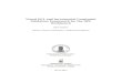 Visual OCL and Incremental Constraint Validation Framework ... · Visual OCL and Incremental Constraint Validation Framework for the DPF Workbench Sidra Nadeem Master’s Thesis in