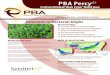 PBA Percy Web - Seednet€¦ · Trial group* 3.0 t/ha Mean Kaspa yield (t/ha) 0.33 0.71 1.22 1.81