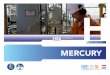 HSE€¦ · HSE guidelines H MERCURY April 2017. MERCURY Work safely or don’t work at all There are strict procedures when working on installations and systems. After all, there’s