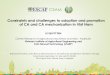 Constraints and challenges to adoption and promotion of CA .... PPT_CA Workshop_Vietnam.pdf · Constraints and challenges to adoption and promotion of CA and CA mechanization in Việt