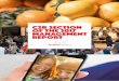 CSR SECTION OF THE 2017 MANAGEMENT REPORT - Auchan … · Auchan Holding has disclosed qualitative and quantitative information on key areas of corporate and social responsibility