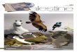 alestine · Land for nearly half the earth’s human population. Palestine’s diverse habitats have allowed for thousands of animal species to evolve, many of them unique to our