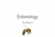 Entomology€¦ · Entomology as a Profession Average salary: $39,000 - $75,000 / year Mean: $57,000 Compared to chemistry: $41,000 - $72,000 / year Mean: $56,500 / year Difference