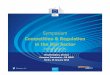 Competition & Regulation in the Rail Sector · Support implementation of Transport White Paper through new infrastructure policy including: ... hinterland rail connection to the Fehmarn