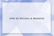 Unit 12 Viruses & Bacteria · 3. REPLICATION – virus DNA breaks down host DNA and takes over, instructing cell to make virus parts 4. ASSEMBLY – Virus parts are put together into