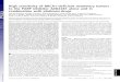 High sensitivity of BRCA1-deficient mammary tumors to the ... · High sensitivity of BRCA1-deficient mammary tumors to the PARP inhibitor AZD2281 alone and in combination with platinum