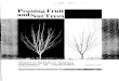 Pruning Fruit andNutTrees Pruning Fruit andNut Trees PRUNING EQUIPMENT In pruning, three tools are usually