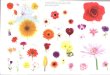 500 Stickere - Flori si fluturi Stickere... · 2016. 3. 4. · Title: 500 Stickere - Flori si fluturi Author: 500 Stickere - Flori si fluturi Subject: Practic Pentru Copii Keywords: