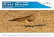 Western Australian Bird Notes #165 2018 Mar.pdf · Felice Morcombe, Paul Netscher, Lou Scampoli and Jennifer Sumpton with two vacancies Female Southern Emu-wren, Augusta. Photo by