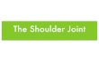 The Shoulder Jointux1.eiu.edu/~jemmett/2440/Shoulder-bones.pdfJoint • Ball and socket joint • Movement in all three planes • Glenoid fossa ... • A bursa is a saclike structure