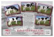 All West/Select Sires Holstein Price List...All West/Select Sires Holstein Price List P.O. Box 507, Burlington, WA 98233 / 1-800-426-2697 In California: P.O. Box 1803, Turlock, CA