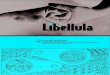 Libellula[CUT] - Gigant Industries · CATIA V4 CATIA V5 SOLIDWORKS INVENTOR UNIGRAPICS A geometrically and operationally open system Libellula[CUT] exports geometric parts to these