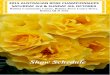 2015 AUSTRALIAN ROSE HAMPIONSHIPS SATURDAY 3rd & …€¦ · Seduction) Class 43: 2 Cuts Floribunda Rose, NND Class 44: 3 Stems Floribunda Roses, 1 Cultivar, 3 stages opening in vertical